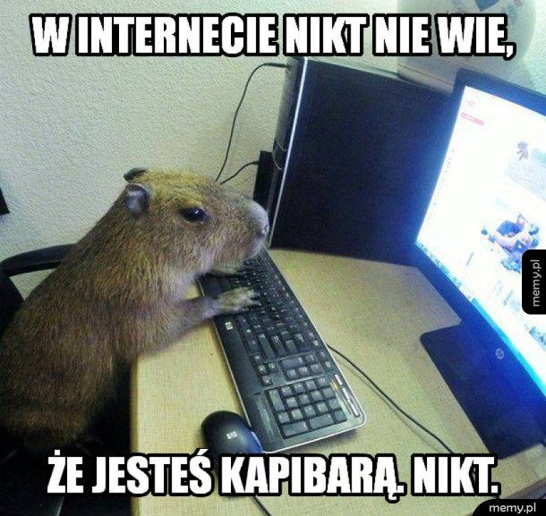 Memy Kapibara